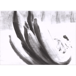 Bananas, 2017