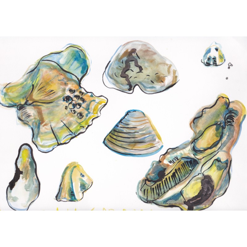 Of Shells, Strokes and Stains. Mussels, 2024