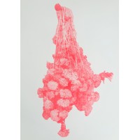Marigold in neon red, 2025