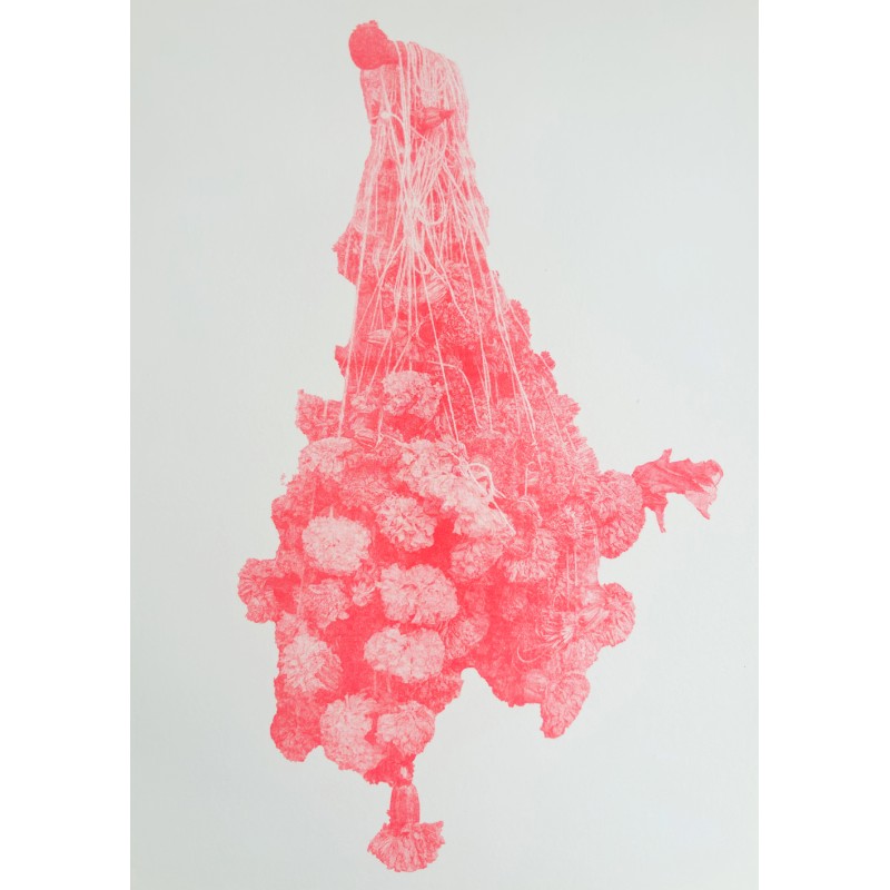 Marigold in neon red, 2025 Marigold in neon red, 2025