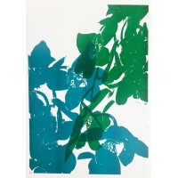 Orchids in teal and green, 2025
