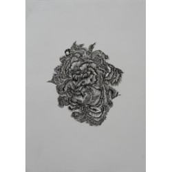 Philosophy of Micromovements of  Thoughts: Meanders. Lost, 2022