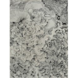 Philosophy of Micromovements of  Thoughts: Entanglements and  Sudden Ruptures , 2023