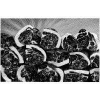 FLESH IV. 2012