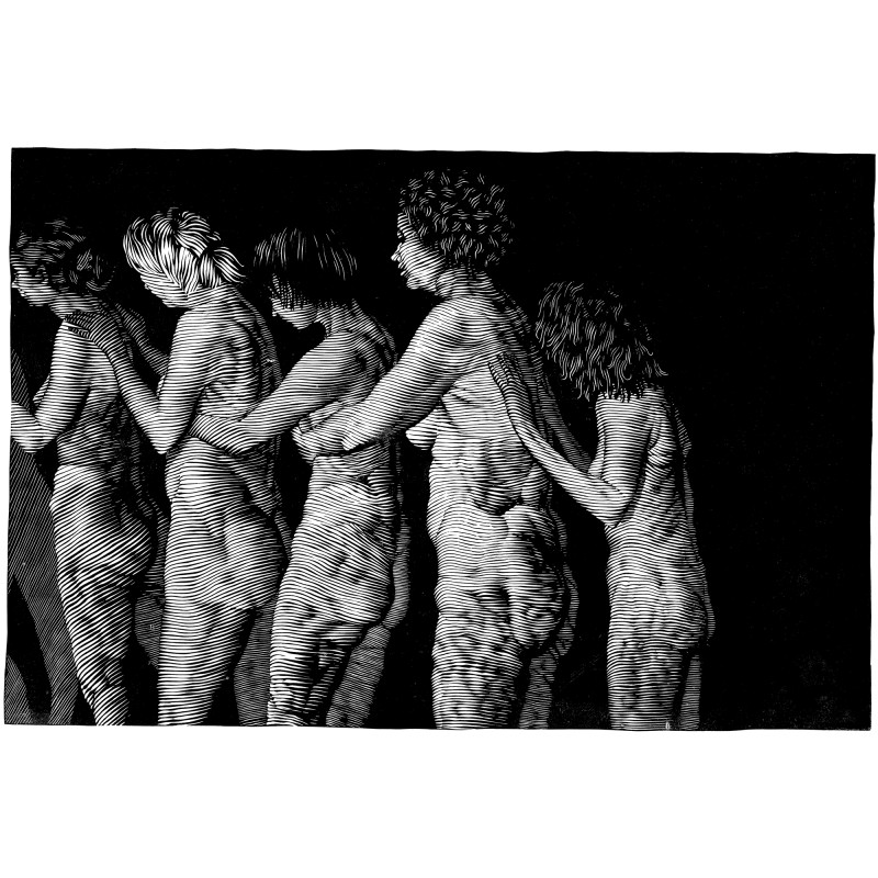 UNDER THE FLAP OF OBLIVION. 2004