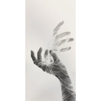 Veins of light, 2025