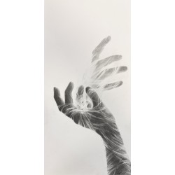Veins of light, 2025