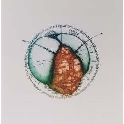 Dragonfly head. (Green/brown) 2025