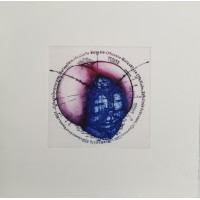 Dragonfly head. (Violet/blue) 2025