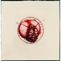 Dragonfly head (Red). 2025