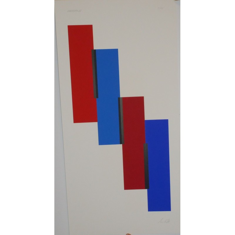 Conjugatio. 1994 1994